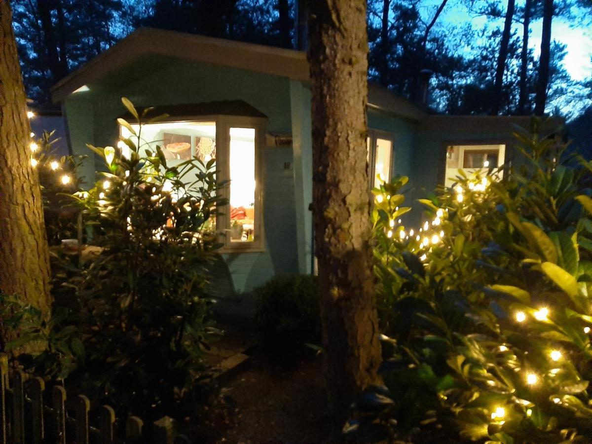 Boshuis Turquoise / Smaakvol Genieten Op De Veluwe Hoenderloo Exterior photo